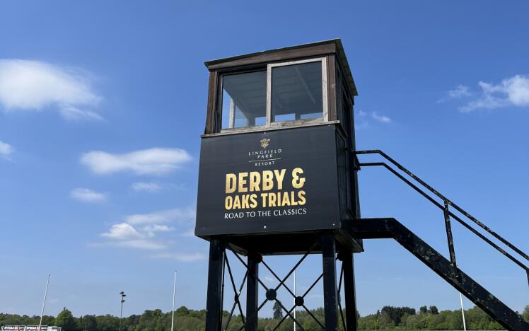 Derby & Oaks Trials