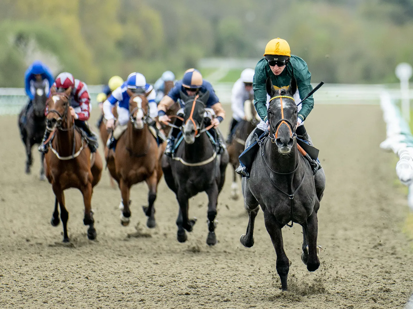 Horse racing in Surrey