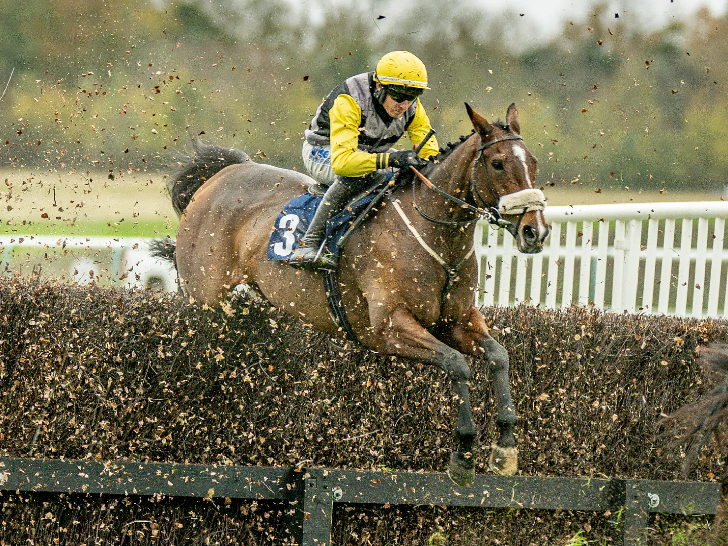 Horses clearing a fence in Jump racing at Lingfield Park
