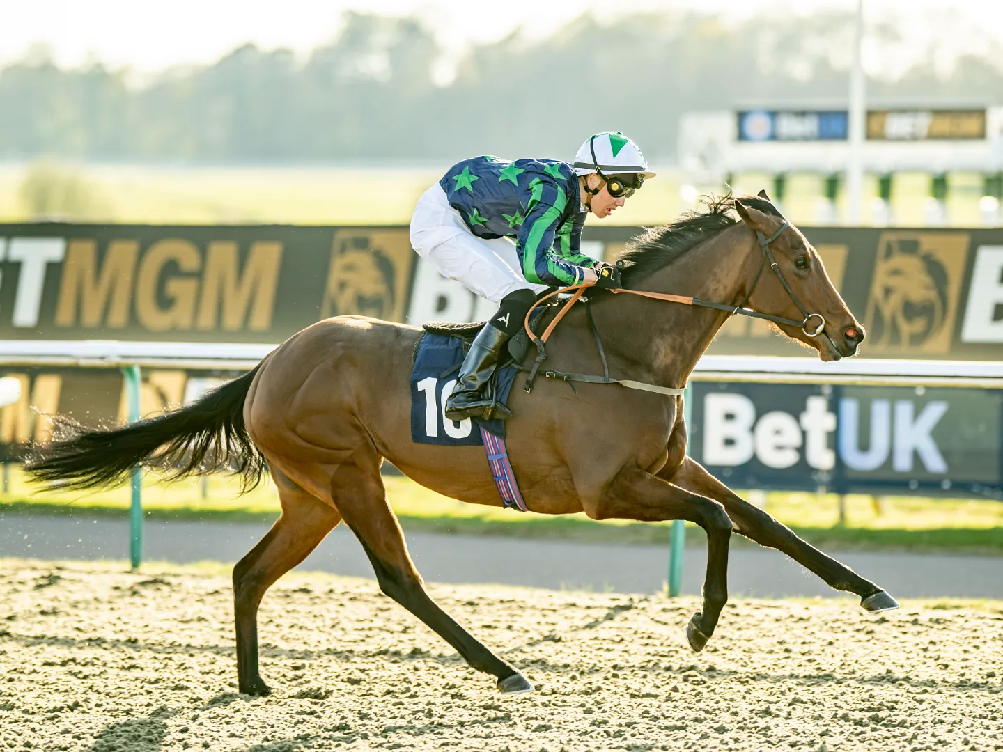 Wednesday Evening - 8 September All Weather Racing 2027