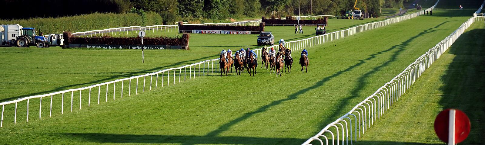 Lingfield turf home straight 