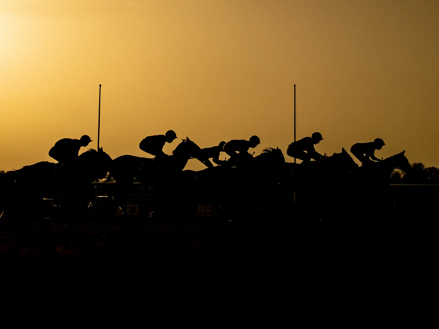 evening racing saturday