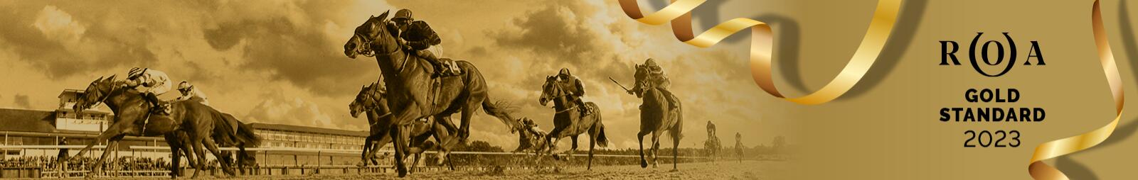 Lingfield Park ROA Gold Standard 2023