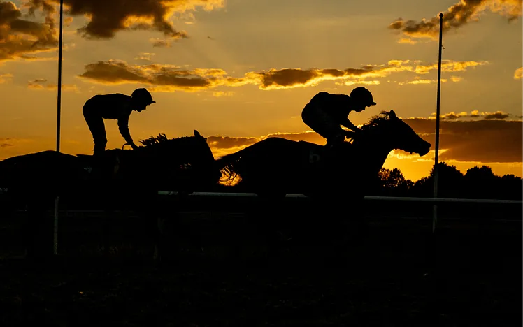 Discover Lingfield Park's 2027 fixture list