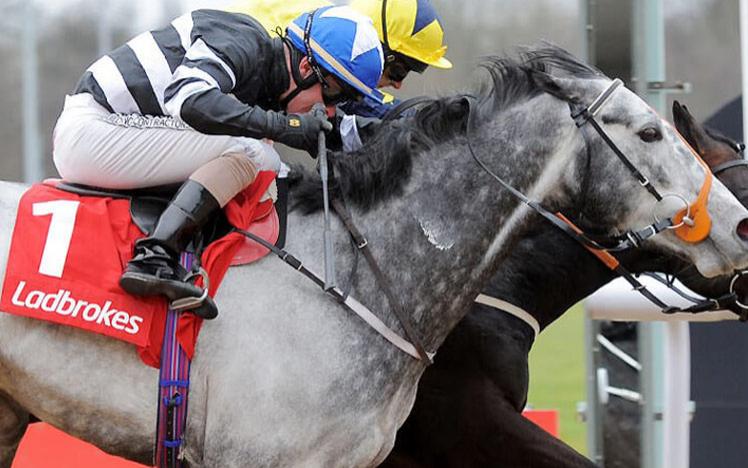 Jockey on a horse, which is wearing a saddle branded by Ladbrokes.