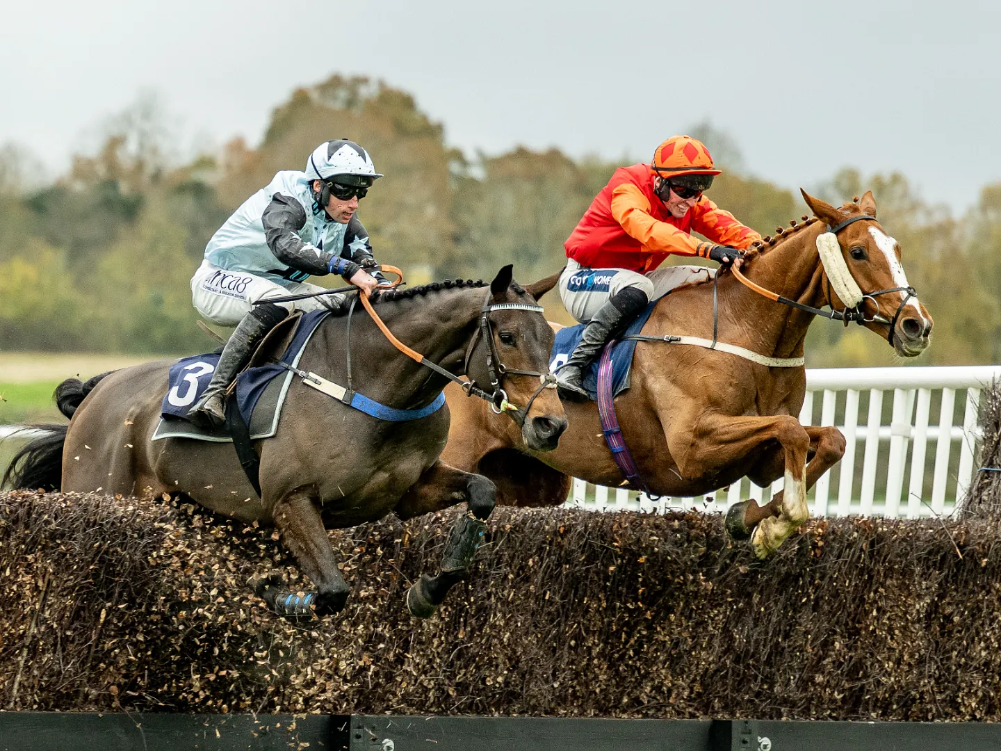 Jump horses and jockeys in action over the fences at Lingfield Park