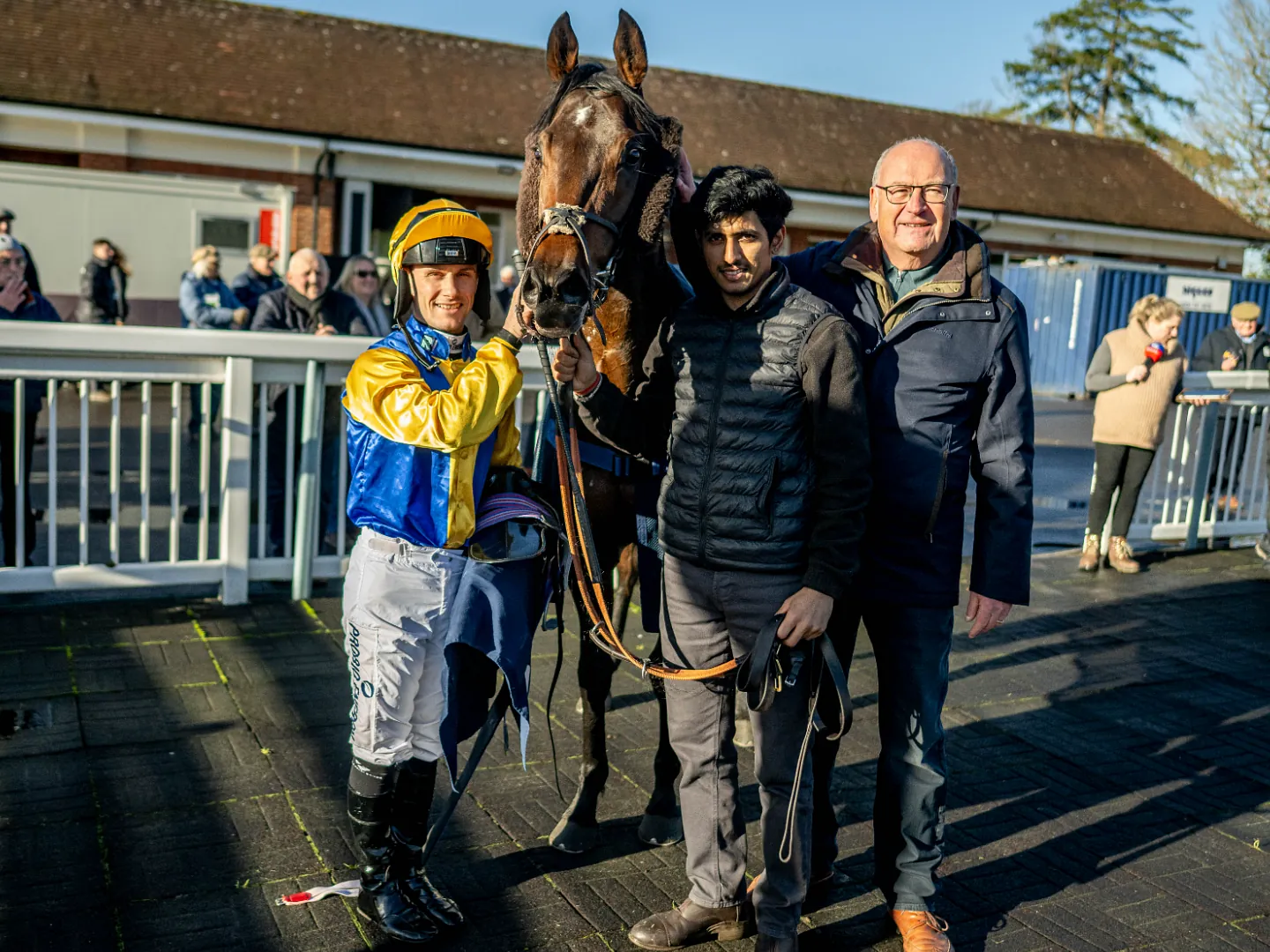 Jockey riding a bay horse in a race on the All Weather track at Lingfield Park