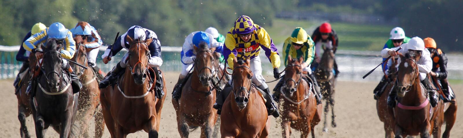 Lingfield All Weather