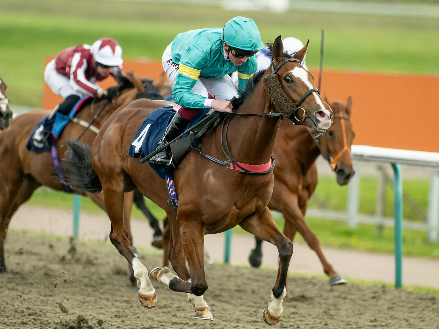 Horses racing along the All Weather track at Lingfield Park with the rail behind them