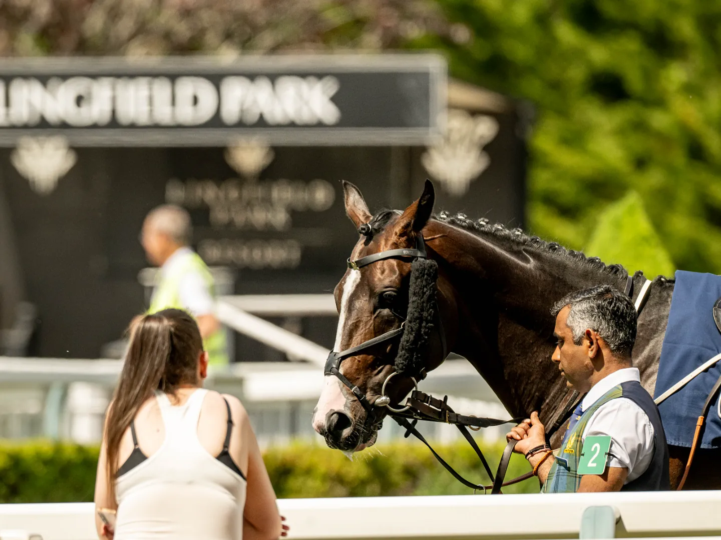 Racehorses and jockeys racing on the all-weather track at Lingfield Park