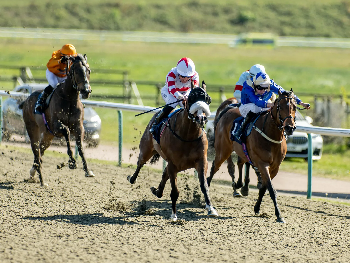 Field of horses and jockeys racing on the All Weather surface at Lingfield Park