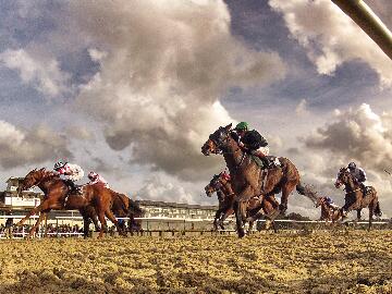 Lingfield Park Resort | Lingfield Park