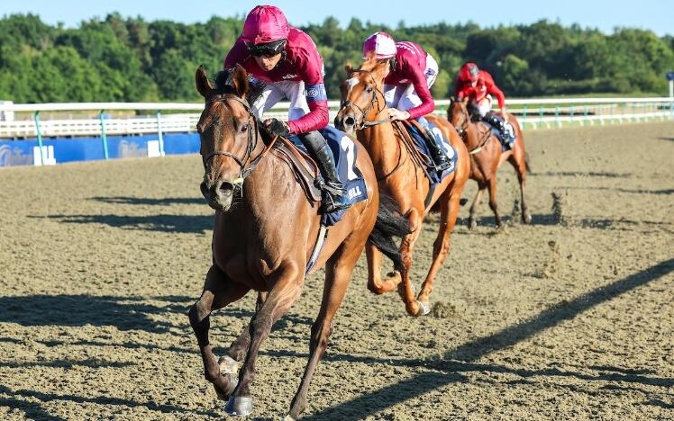 Immortal Beauty leads home a one-two for London & The South (credit: Grossick Racing Photography)