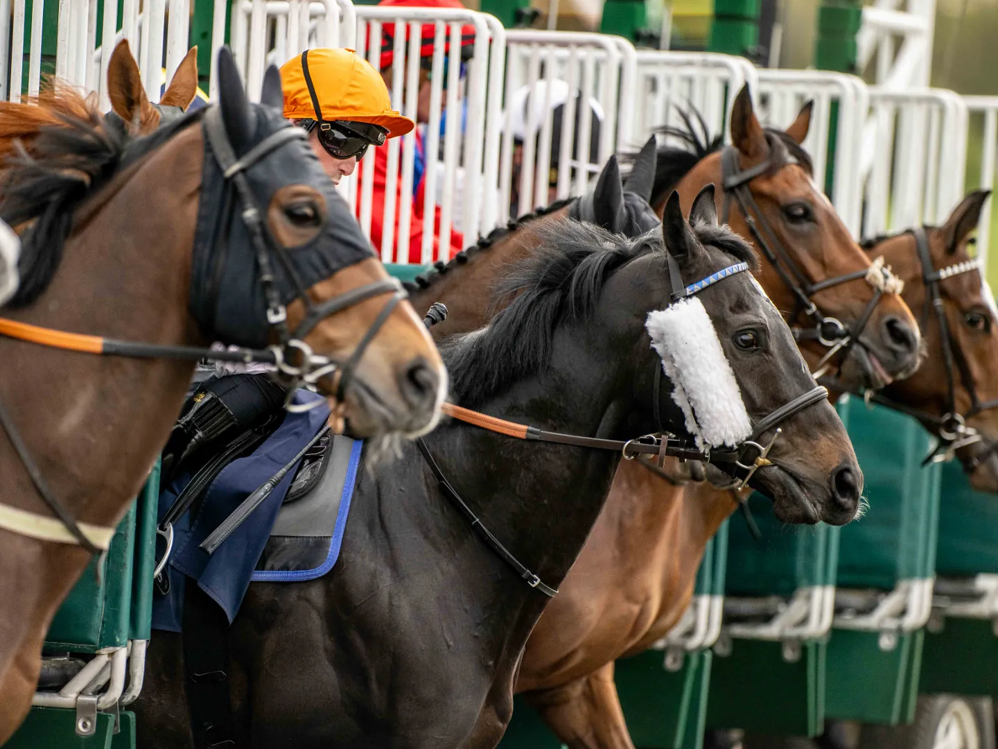 Wednesday Afternoon - 6 January All Weather Racing 2027