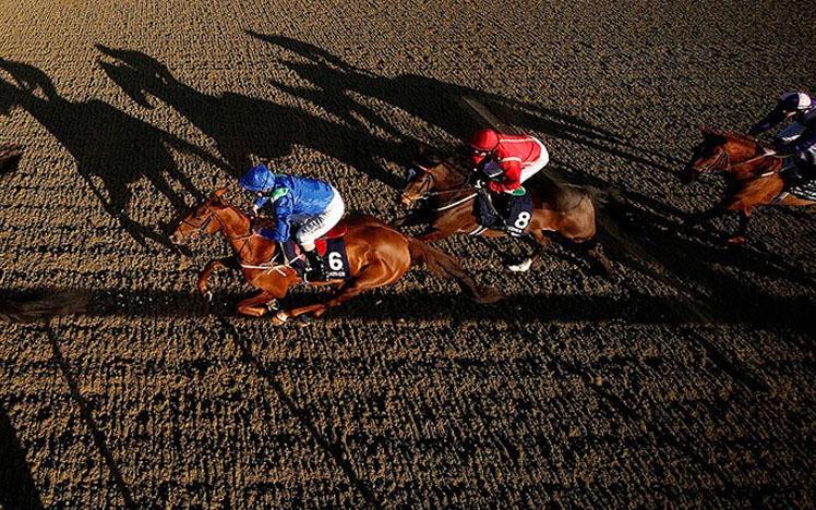 horses racing at lingfield all weather track