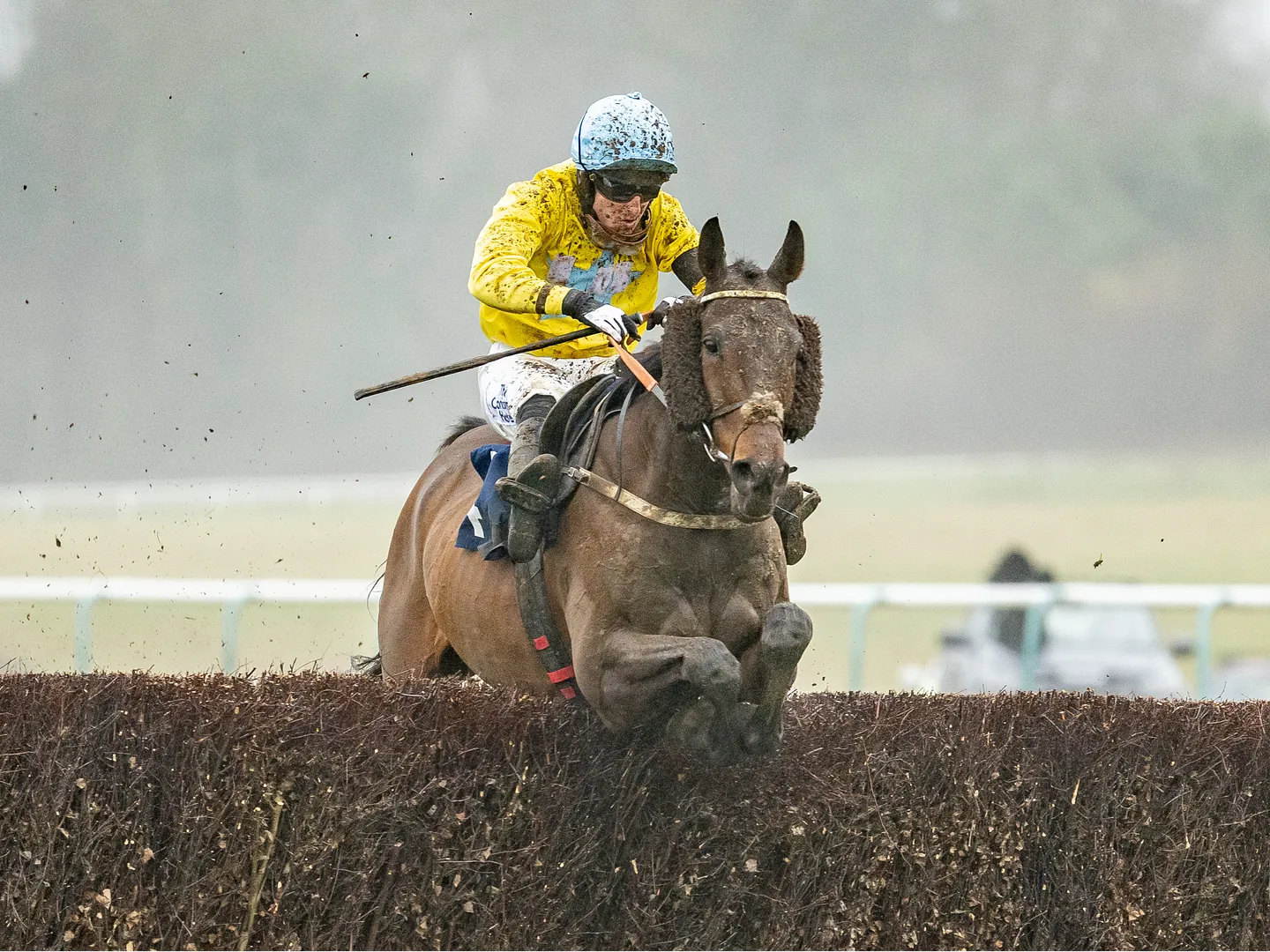 Winter jump racing action at Lingfield Park's Countryside Christmas raceday