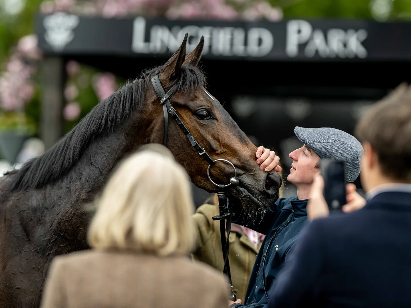 Racehorse and jockey on the All-Weather Track at Lingfield Park, Surrey during our festive December fixtures