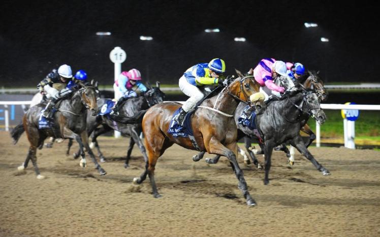All-Weather Championships At Kempton Park 