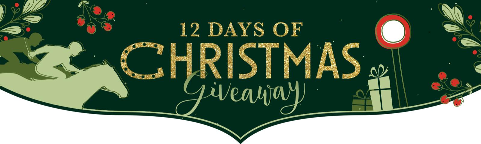 12 days of christmas giveaway