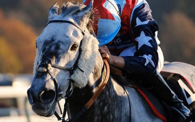 Jockey on a horse.