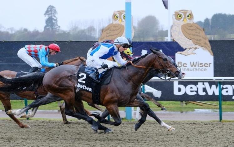 French raider Funny Kid ready for Newcastle Fast-Track Qualifier