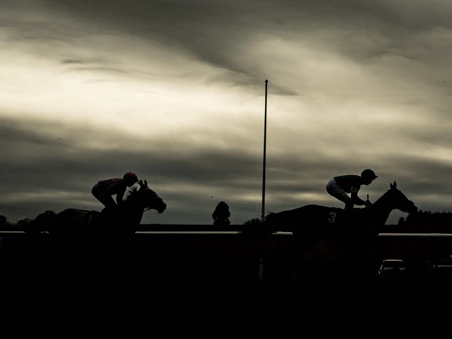 Surrey Horse racing