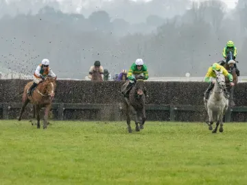 lingfield park afternoon jump racing