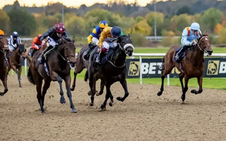 sky safari wolverhampton