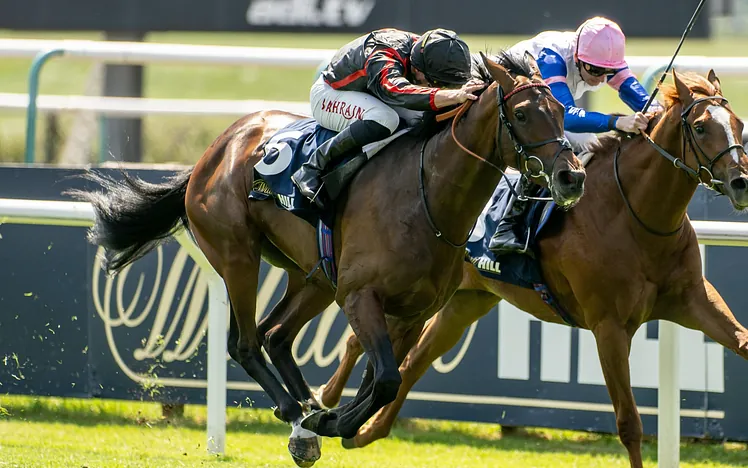  From Lingfield to Longchamp: Can Maltese Cross conquer the Arc?