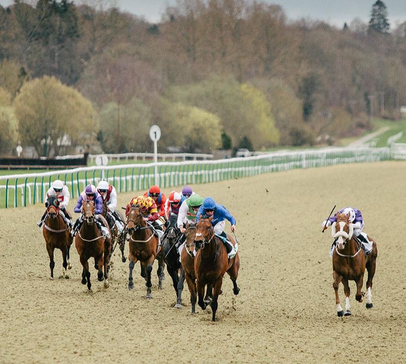 Horse racing on lingfield all weather track