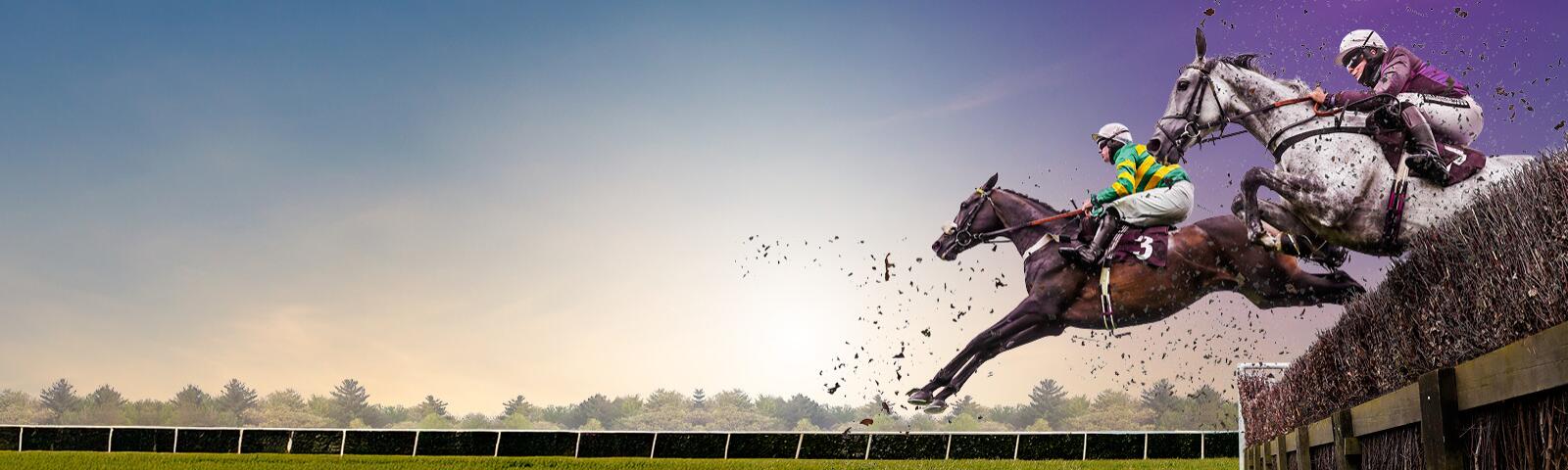 Horse jumping over the final fence at Lingfield Racecourse for the Jump Season Finale 2026.