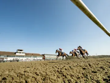 All Weather Racing Lingfield