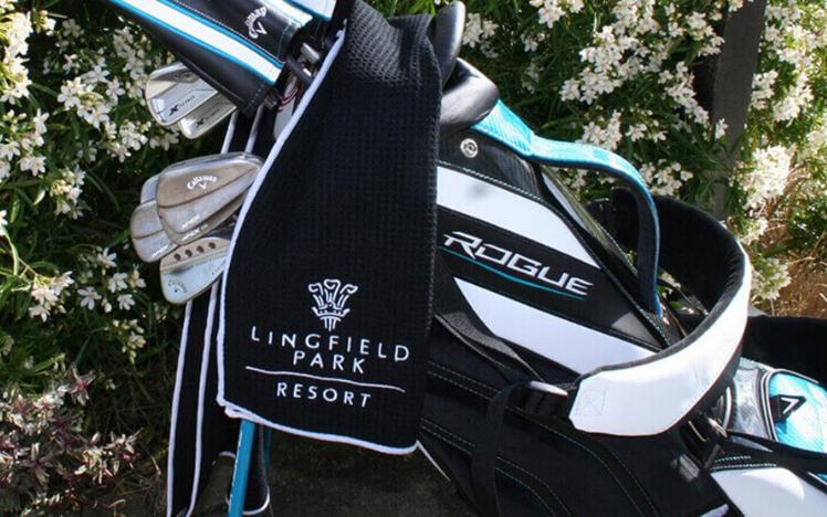 A golf bag with clubs