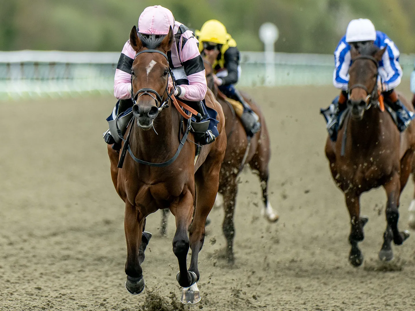 Mid week things to do in Surrey