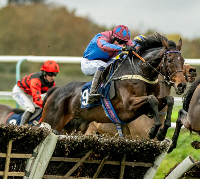 National Hunt racing in Surrey