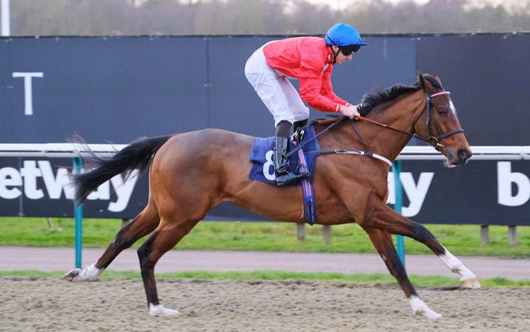 Jockey on a horse, racing at Lingfield Park.