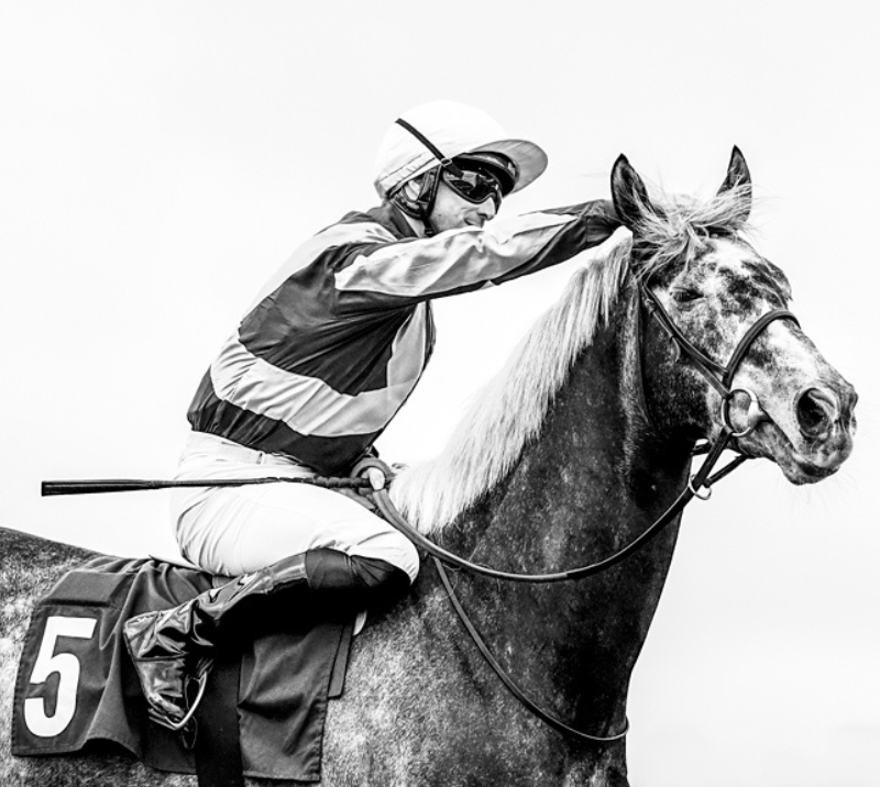 black and white image of a racehorse and jockey