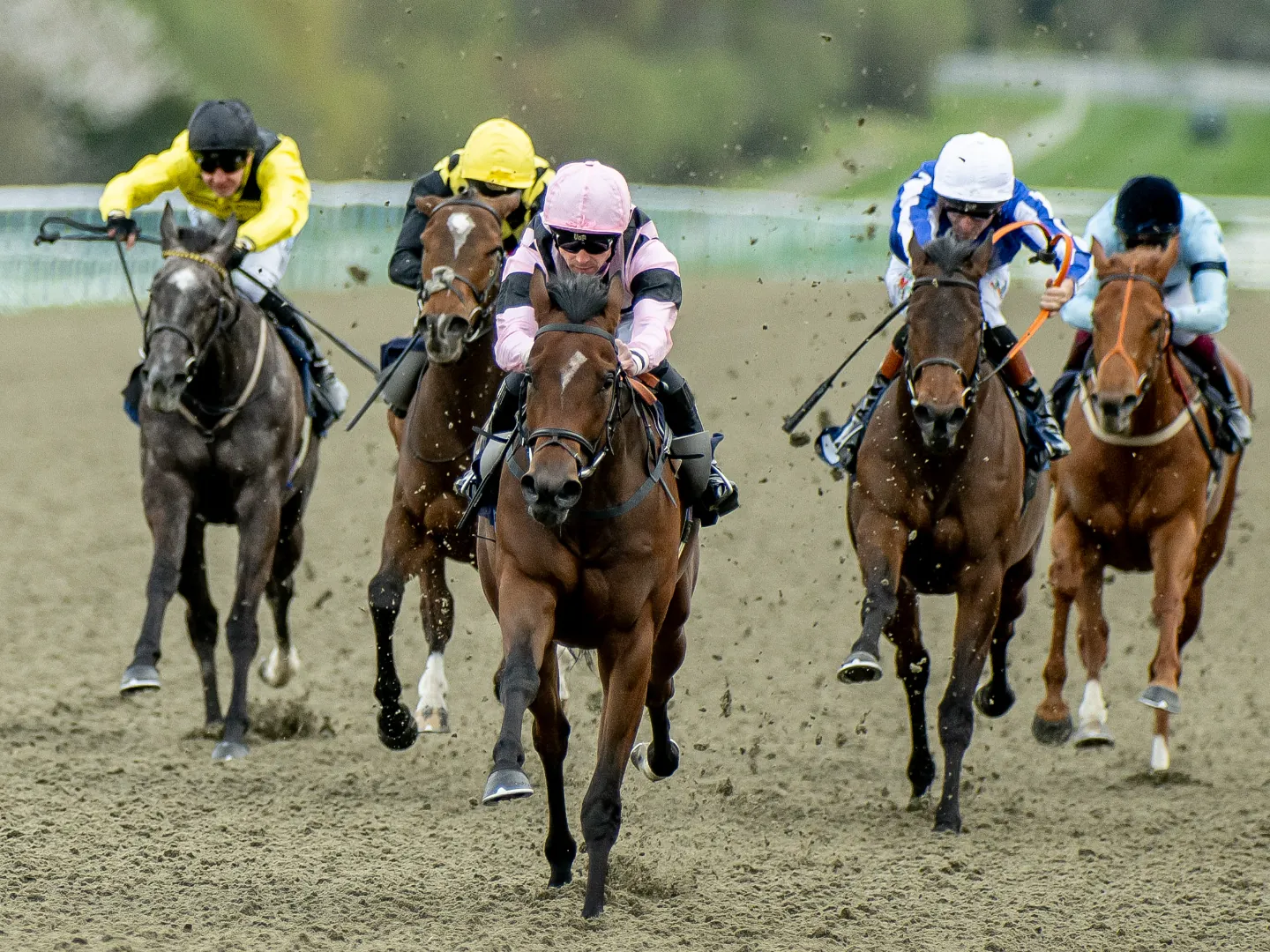 Jockeys and horses in full stride on the All Weather track at Lingfield Park