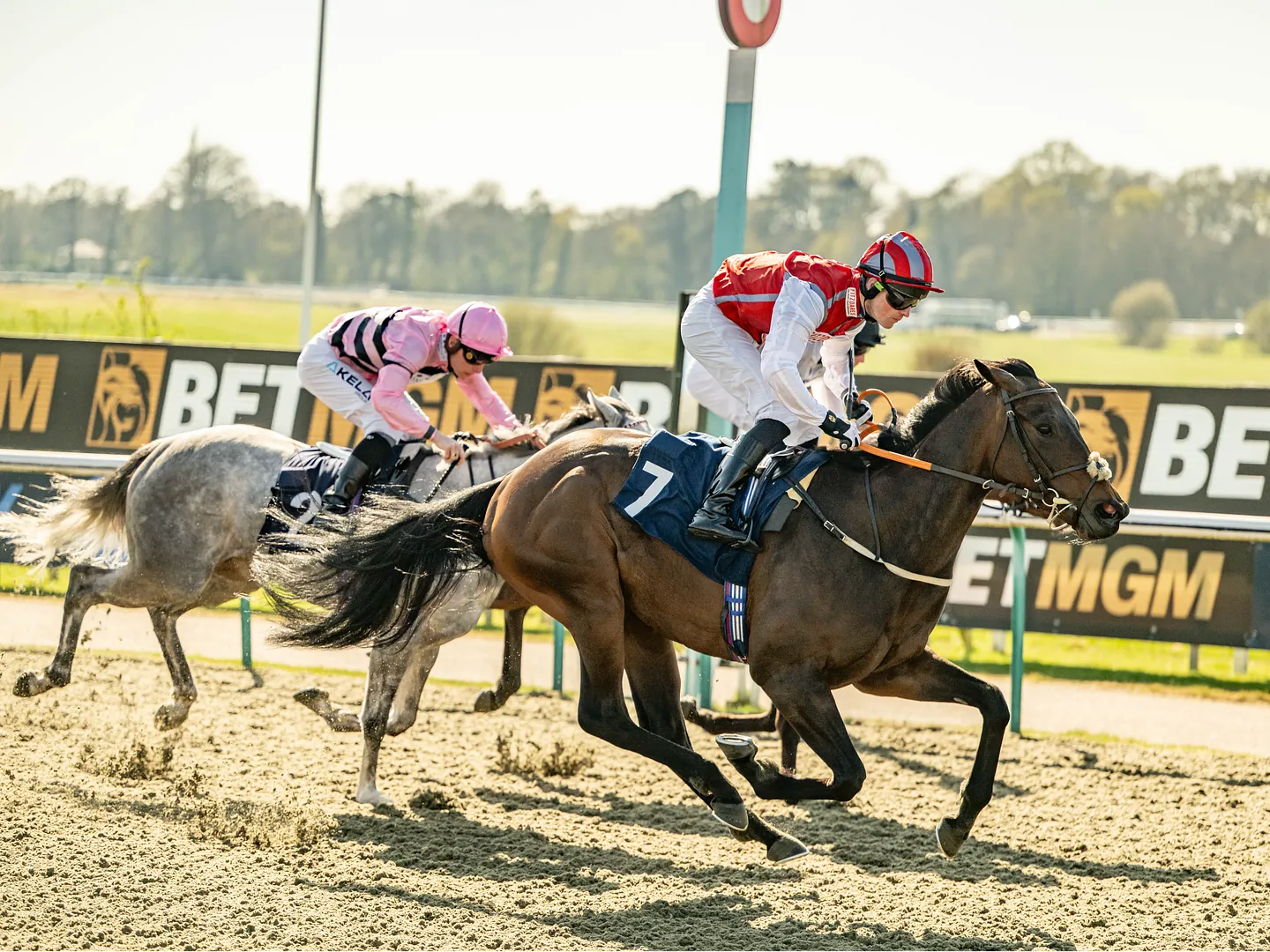 Racehorse and jockey during an afternoon at the races at Lingfield Park, Surrey: home to our festive fixtures