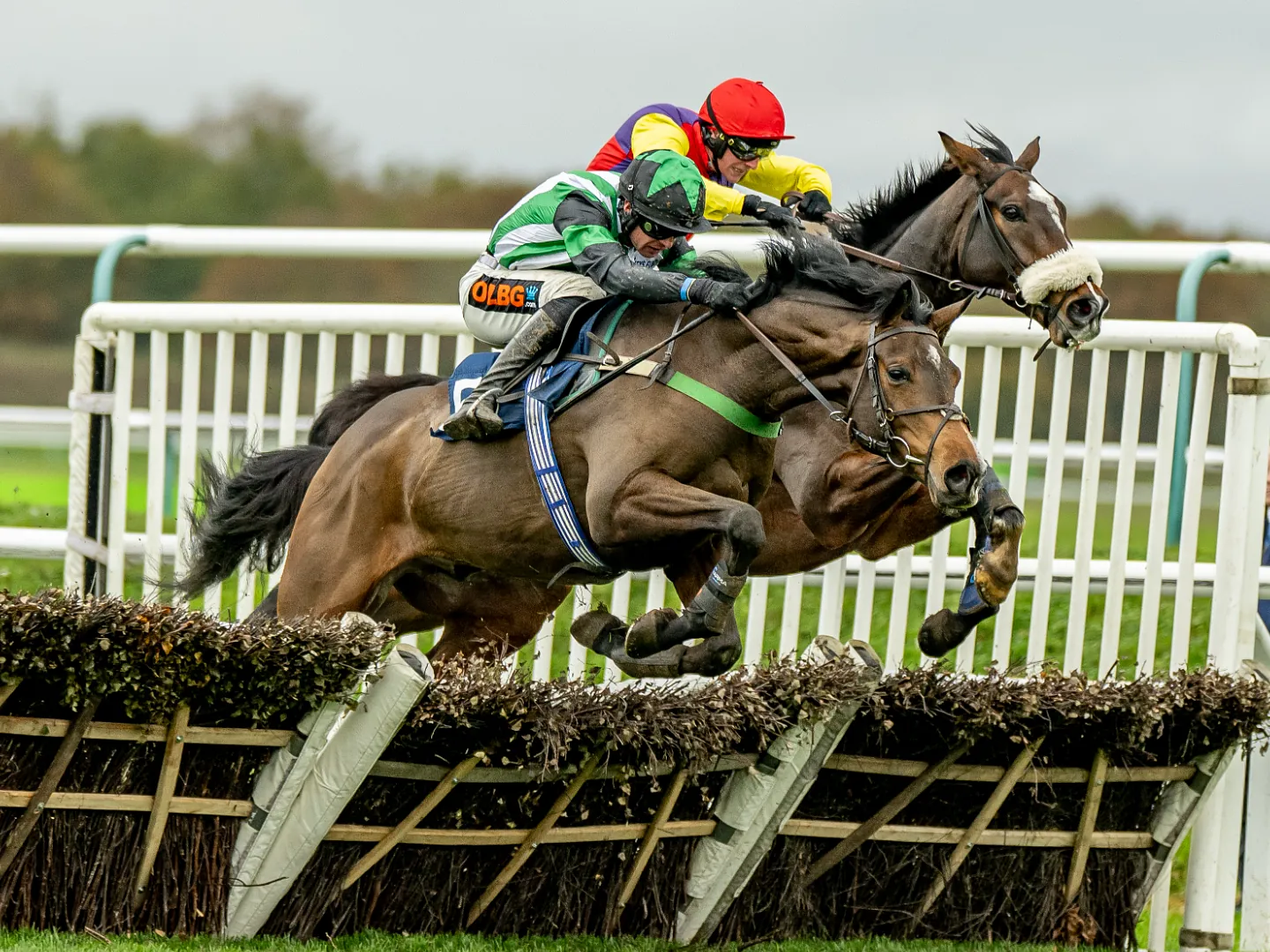 Horses jumping a fence in a Jump race at Lingfield Park