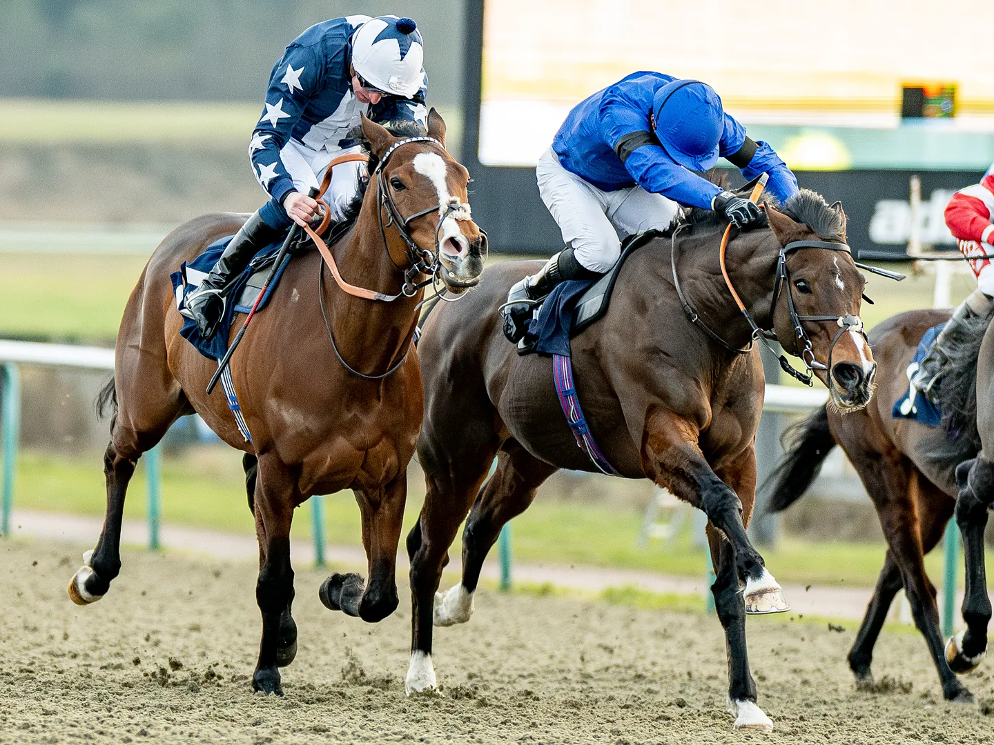 Jockeys racing neck and neck on the all-weather track at Lingfield Park, home to festive Christmas racing