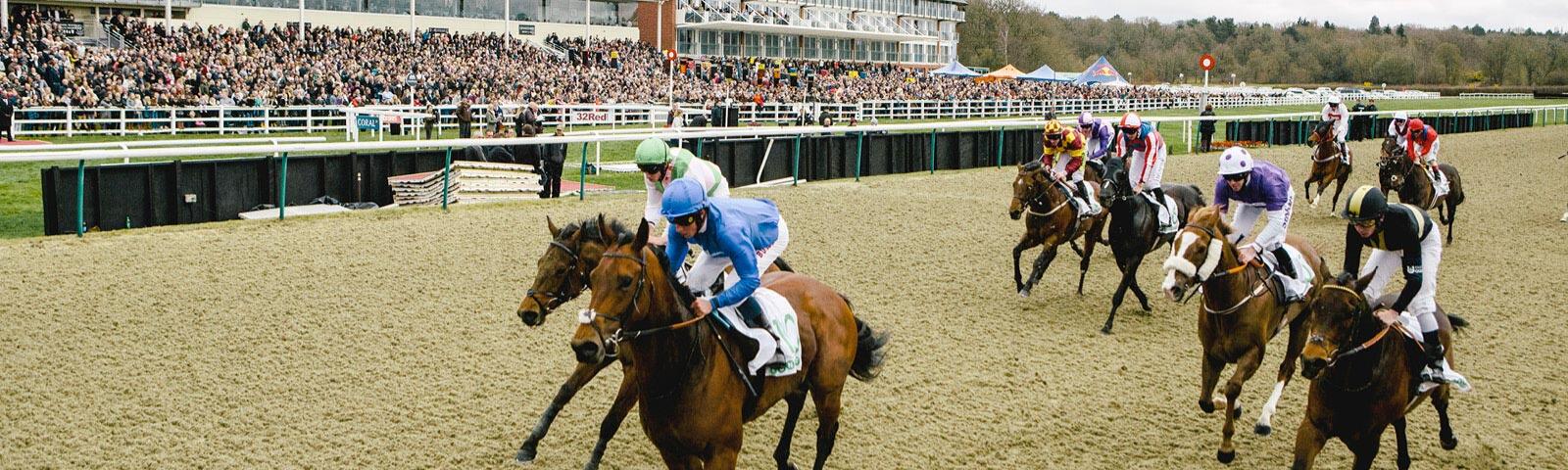All weather racing at Lingfield Park Racecourse.