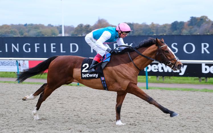 Horse winning at Lingfield Park Resort