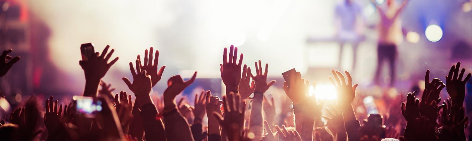 The crowd at a live music concert