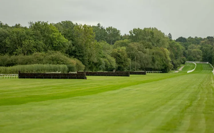 Jumps racing in Surrey