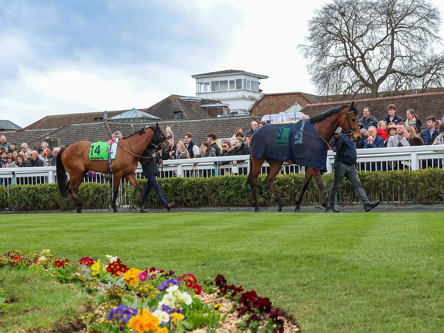 Racehorses and jockeys in action on the All Weather surface at Lingfield Park