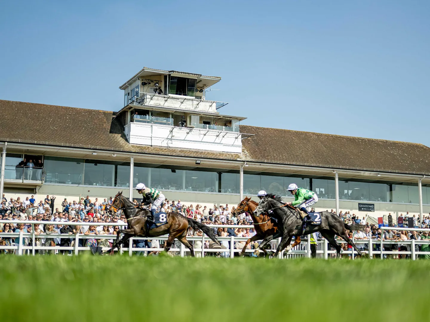 Jockey riding a racehorse over the turf at Lingfield Park