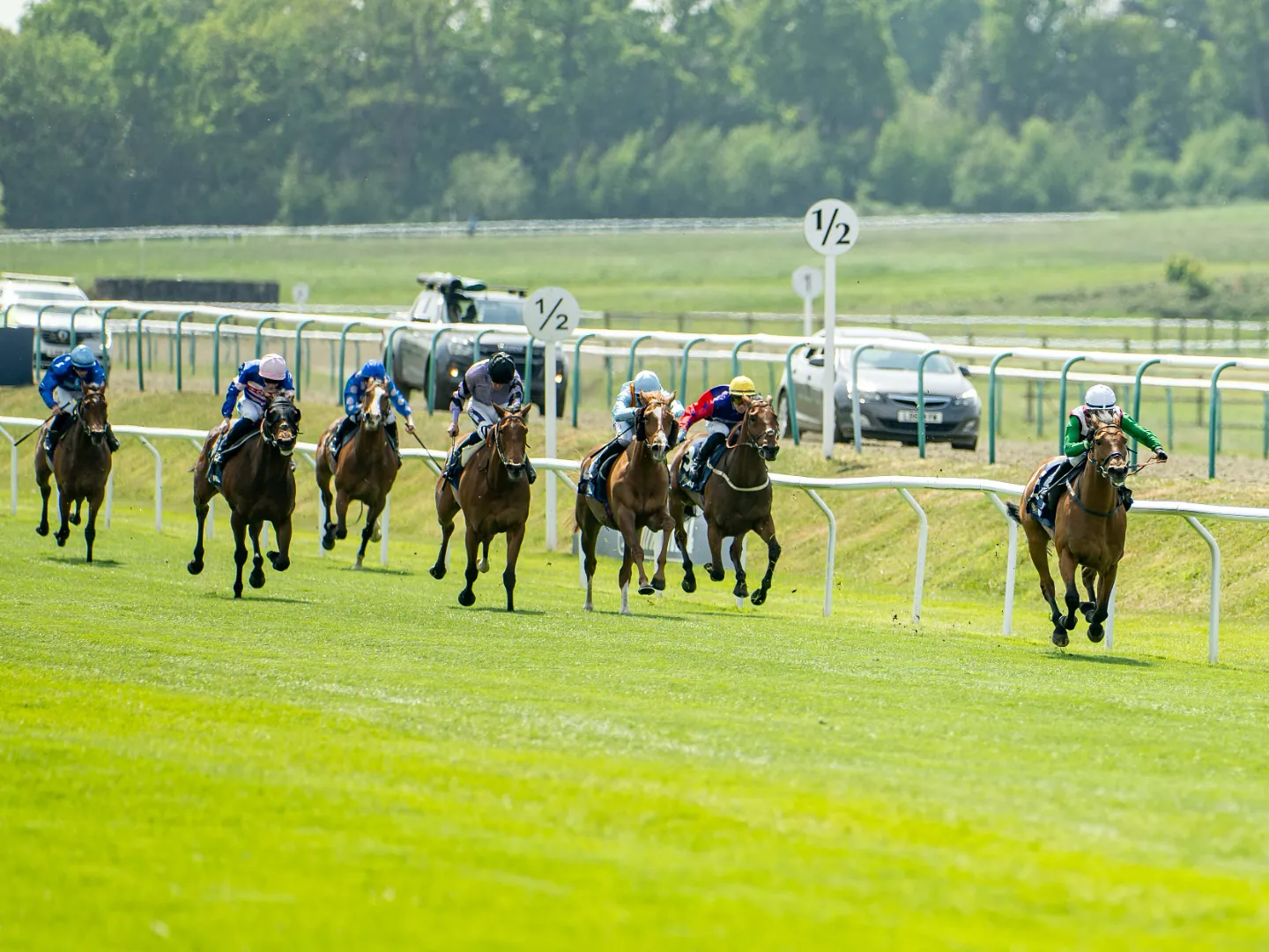 Racehorses and jockeys on the turf at Lingfield Park during an evening race meeting