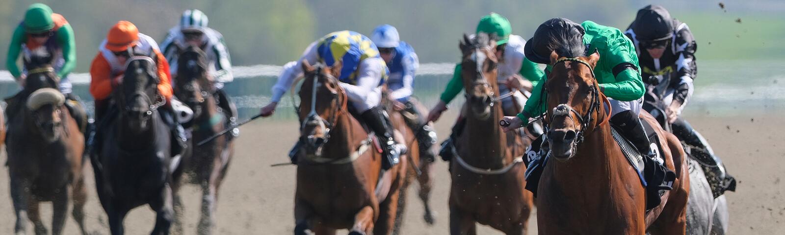 Kachy winning in 2018