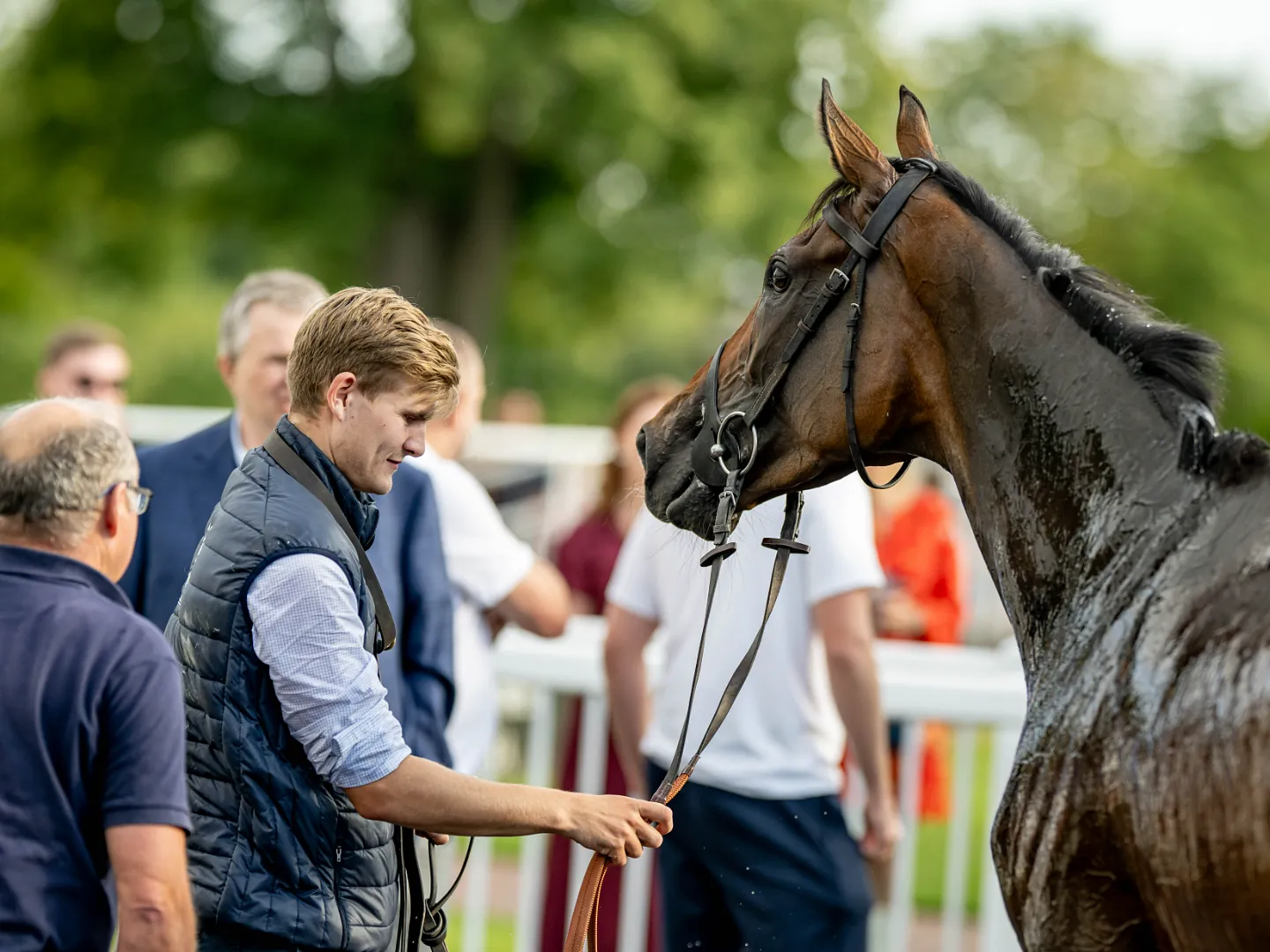 Groom & horse in the parade ring